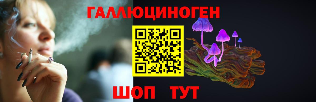 хочу наркоту  Псилоцибиновые грибы Magic Shrooms  Галлюциногенные грибы Magic Shrooms  Вход с VPN  Черняховск 